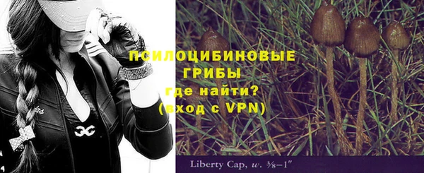 стафф Балабаново