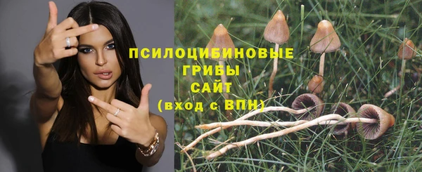 2c-b Белокуриха