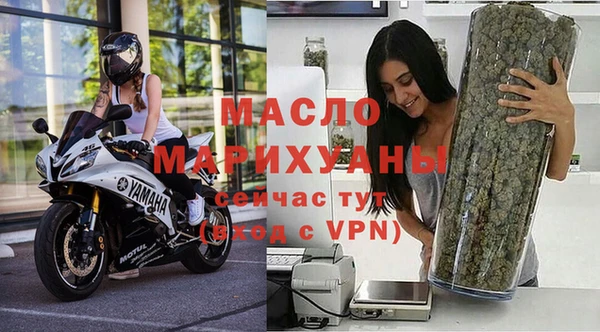 сатива Беломорск