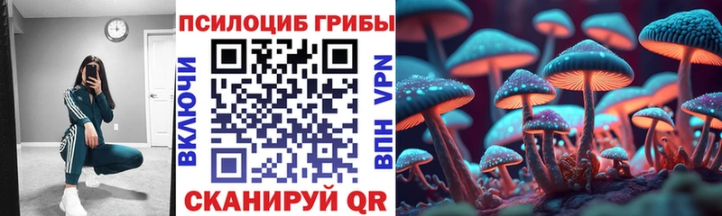 Галлюциногенные грибы Magic Shrooms  Купить  Ленинск 
